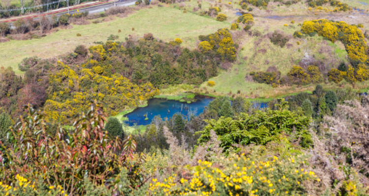 parcelaciones rurales