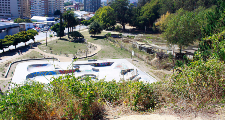 Guardia es brutalmente agredido tras intervenir en robo de celular en el Parque Ecuador