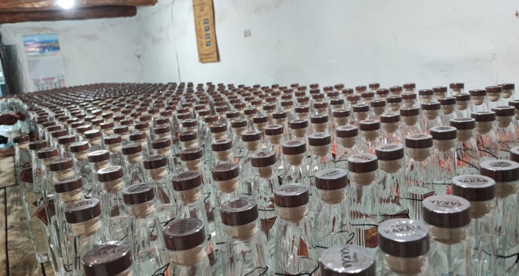 Productores de pisco chileno buscan convertir sus viñedos en patrimonio de la Unesco