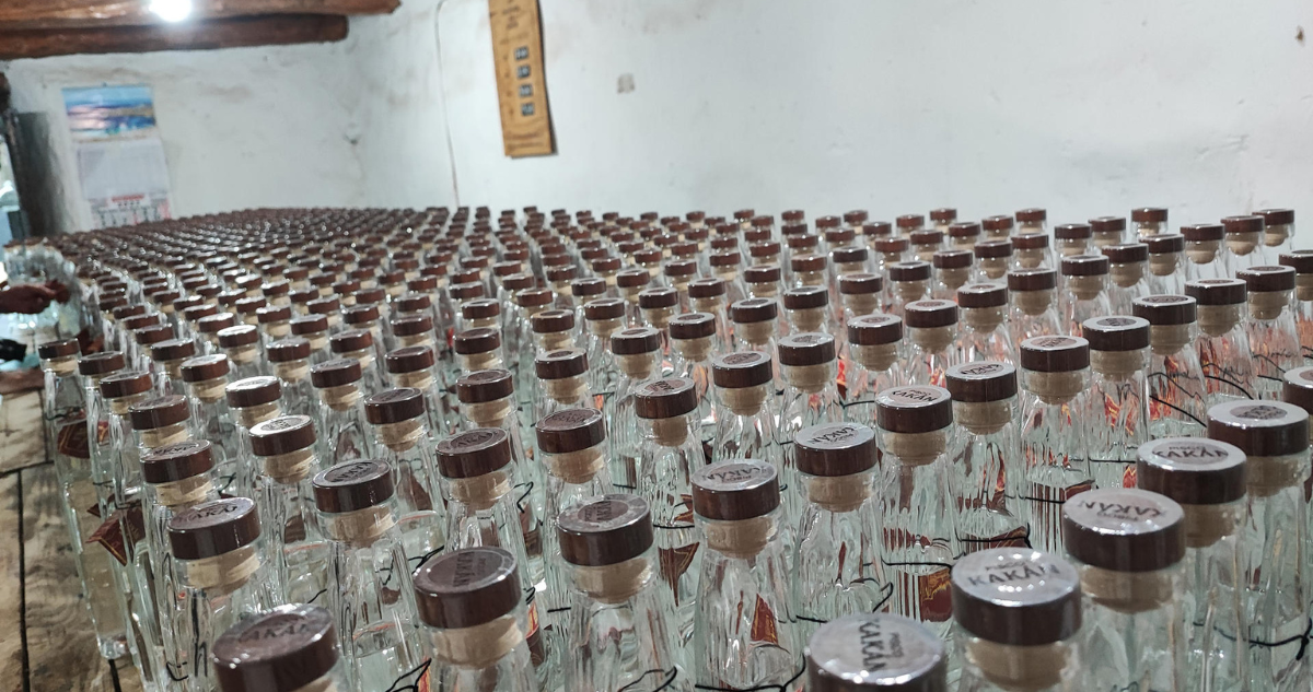 Productores de pisco chileno buscan convertir sus viñedos en patrimonio de la Unesco