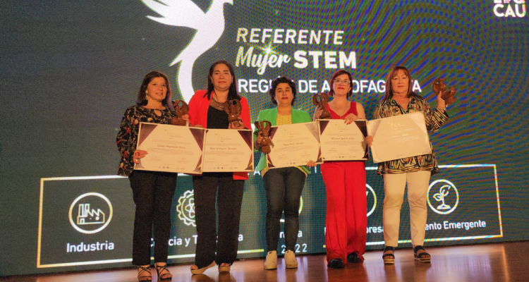 premio referente mujer stem