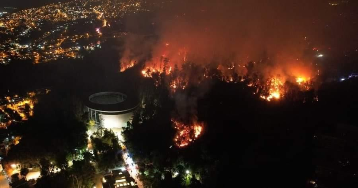 incendio forestal Quinta Vergara