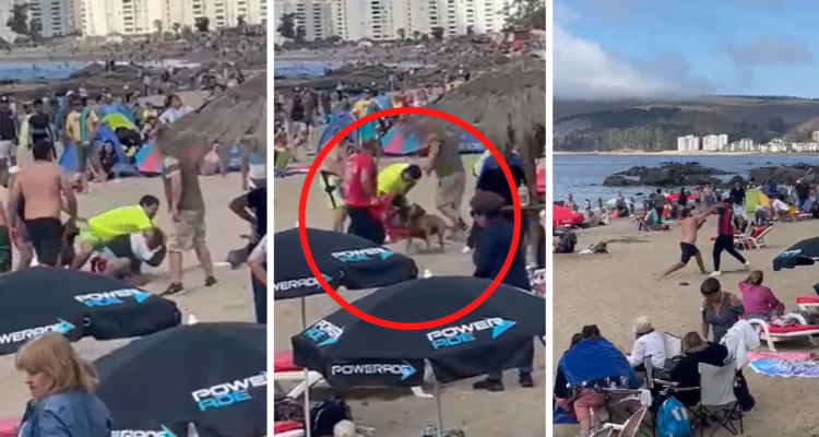 Con saltos por la espalda, llave y hasta un perro: bañistas y salvavidas protagonizan riña en Papudo