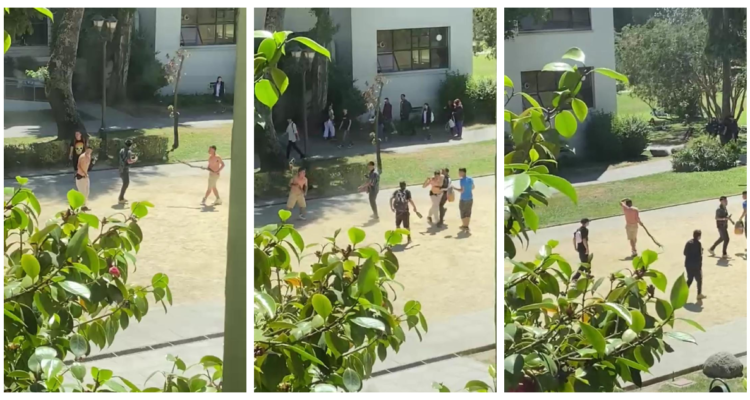 riña Universidad de Concepción