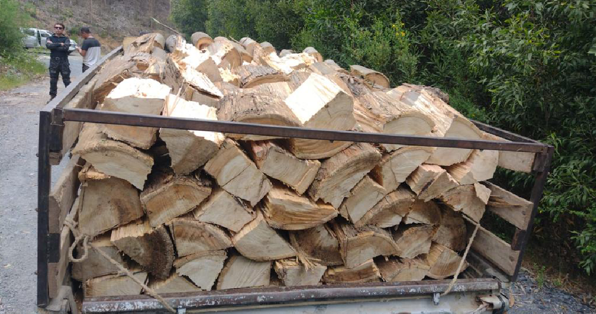 PDI detuvo a cinco sujetos por robo de madera en Coronel