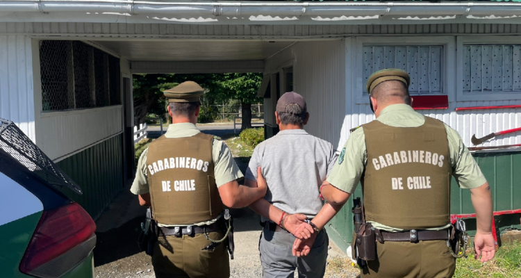 Cuatro personas fueron detenidas por robo de madera en Futrono: quedaron en libertad