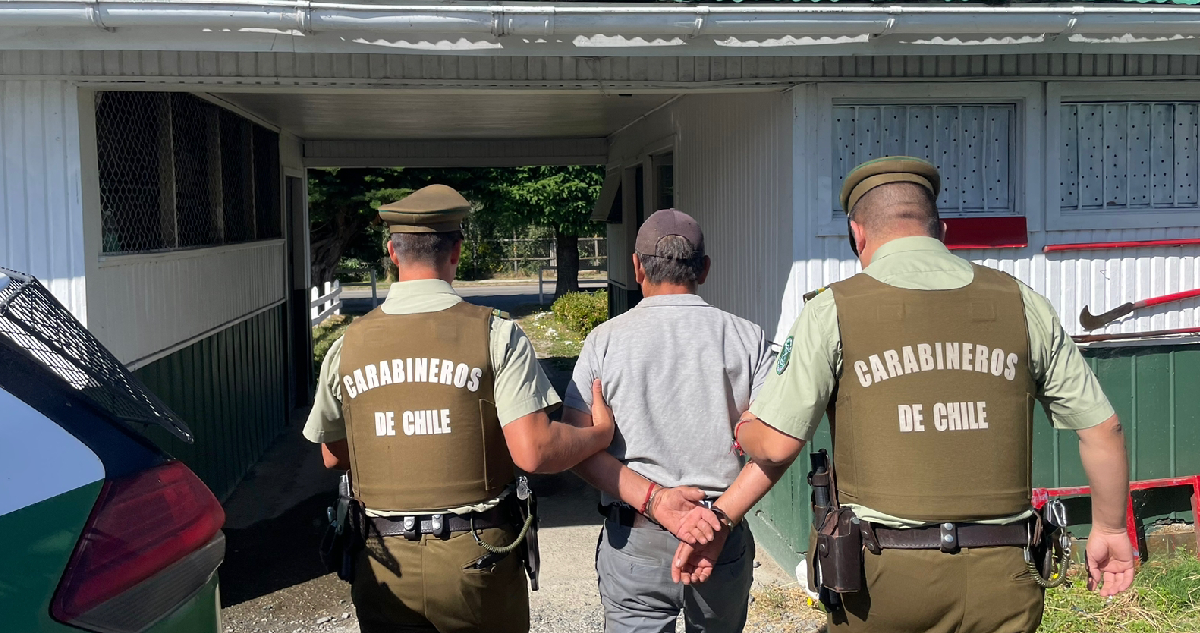 Cuatro personas fueron detenidas por robo de madera en Futrono: quedaron en libertad