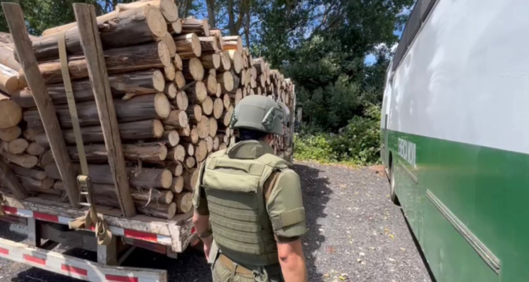 robo madera Perquenco