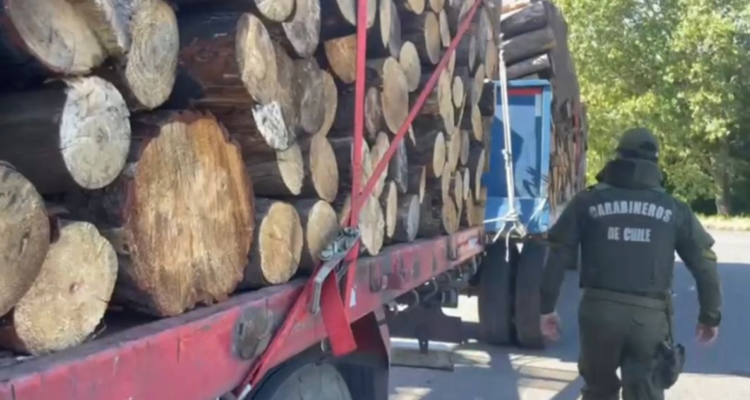 robo de madera Perquenco