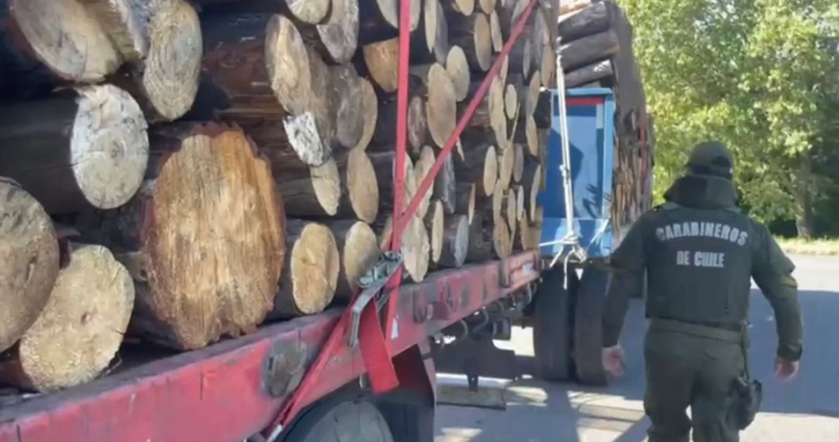 robo de madera Perquenco