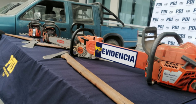 Detienen a 10 personas por tala ilegal en San Juan de la Costa: extranjeros podrían ser expulsados