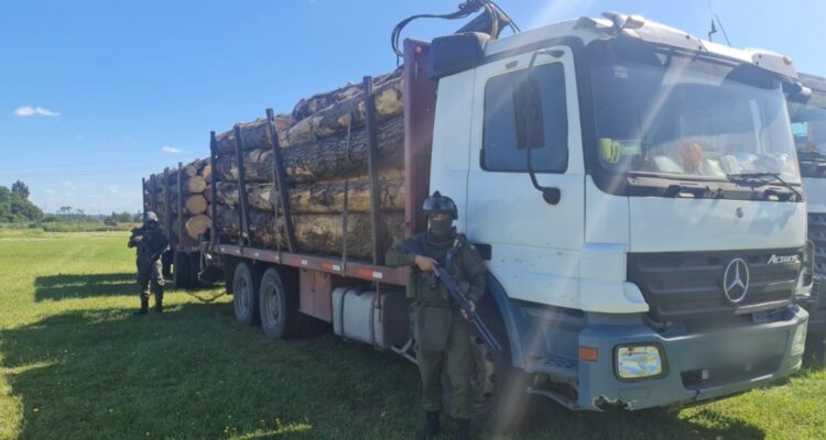 Camión cargado con madera robada