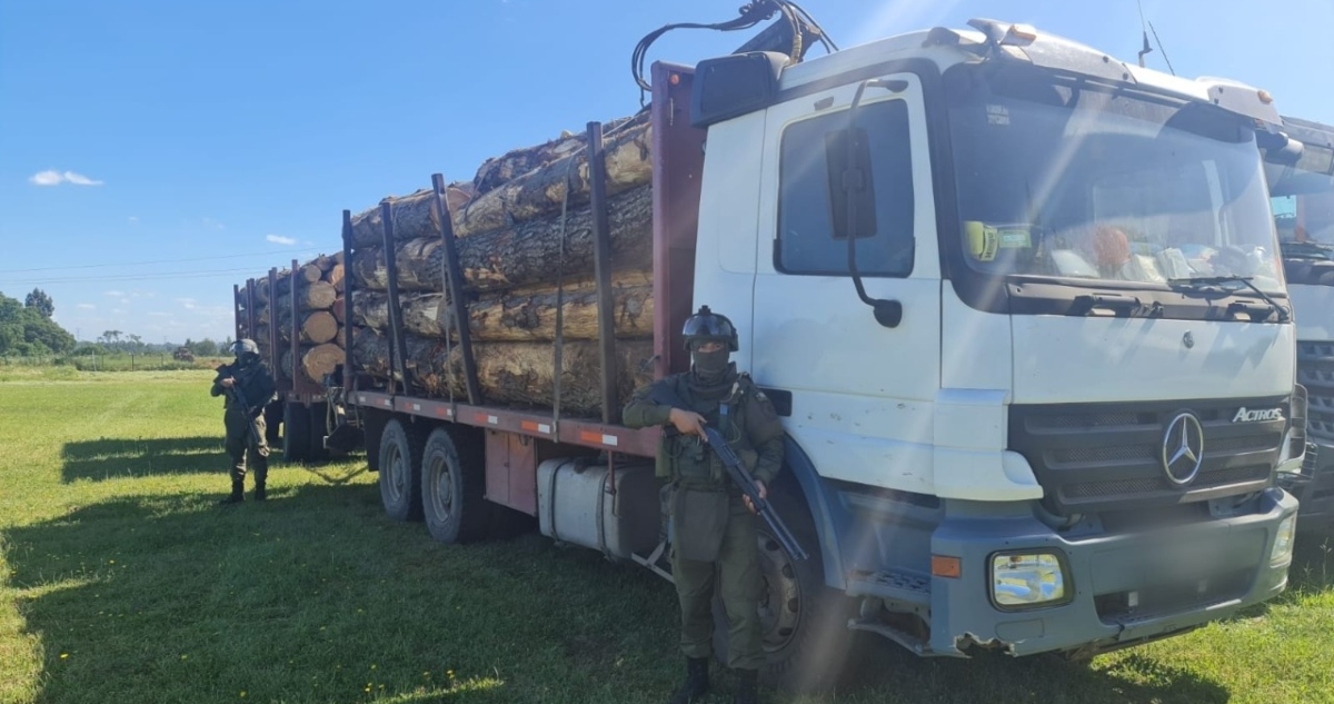 Camión cargado con madera robada