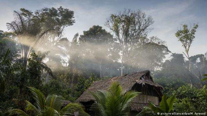 Selva Amazónica, uno de los lugares en vía de desaparecer del mundo