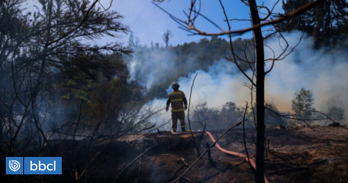 Continúan Los Incendios Forestales En La Provincia De Melipilla: Han ...