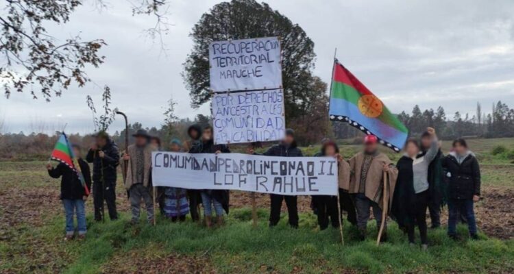 Cámara pide al Gobierno eliminar pago de contribuciones de tierras usurpadas en la Macrozona Sur