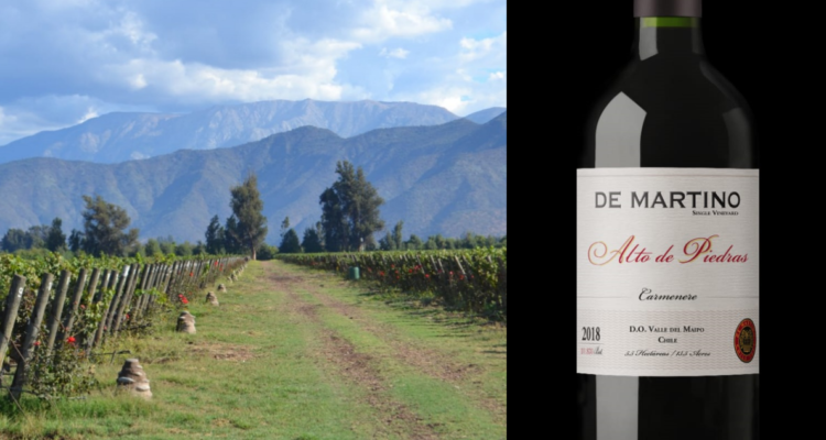 Vino de Isla de Maipo es elegido como uno de los 100 mejores del mundo, según revista Wine&Spirits