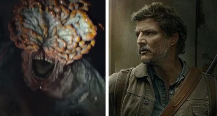Los 4 tipos de infectados en The Last Of Us y cuáles son las diferencias