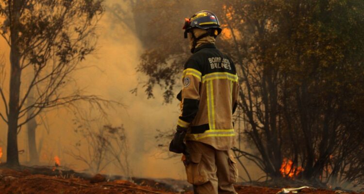 Alerta Roja en Chillán por incendio forestal que obligó a suspender tránsito por Ruta 5 Sur
