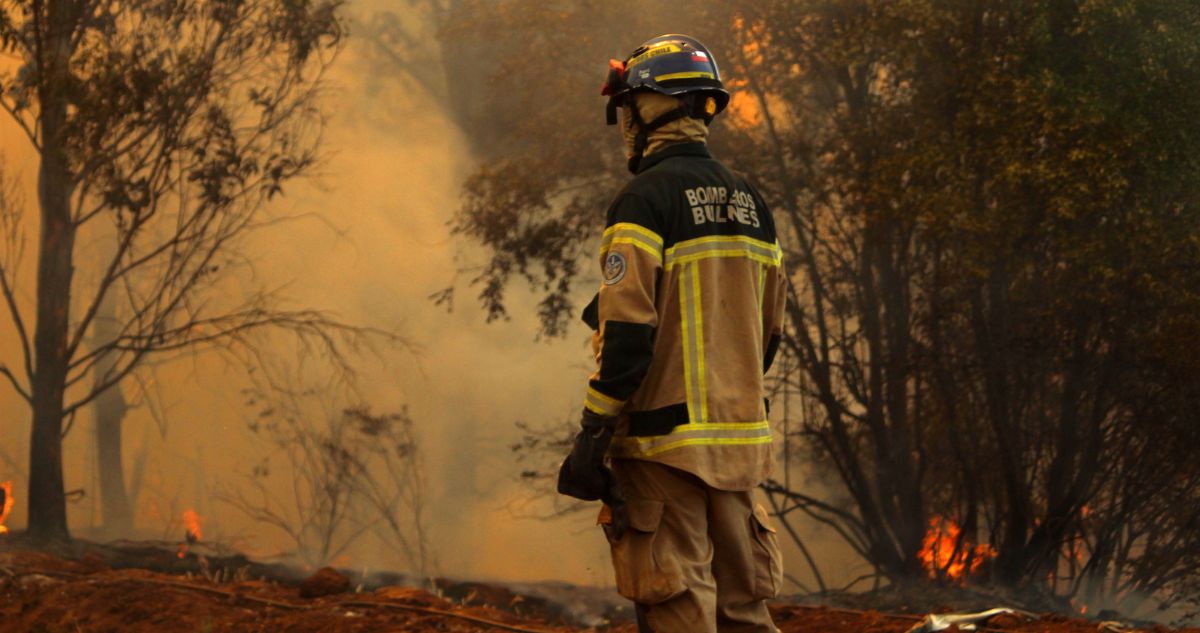 Alerta Roja en Chillán por incendio forestal que obligó a suspender tránsito por Ruta 5 Sur
