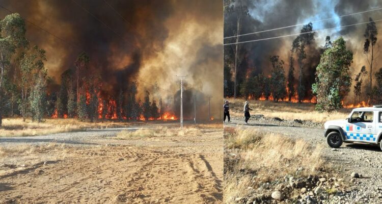 Declaran Alerta Roja para la comuna de Pitrufquén por incendio forestal