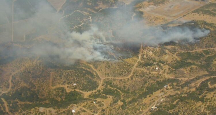 Más de 91 hectáreas consumidas por incendio forestal en Teno: comuna se encuentra bajo Alerta Roja