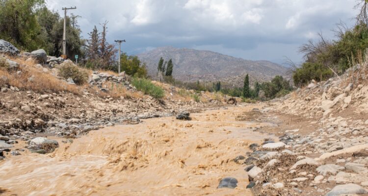 Oscar Guerra | Agencia UNO