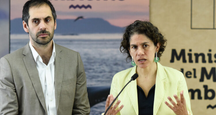 Foto contexto Andes Iron por rechazo de Dominga