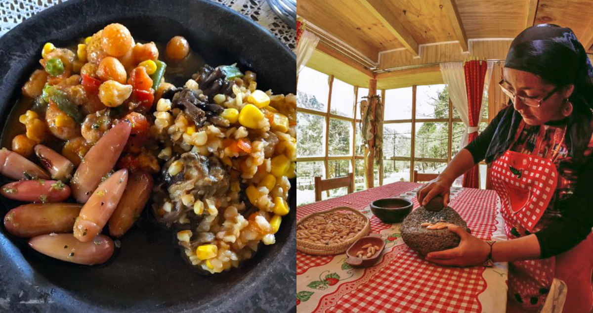 Ruta gastronómica en la Araucanía Andina: recetas y preparaciones ancestrales que cautivan a turistas