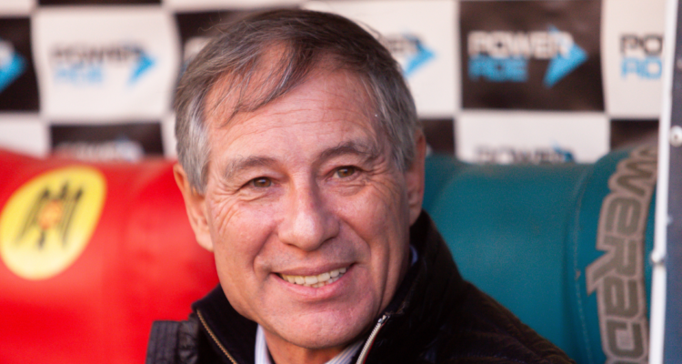 Ariel Holan lanza extraña analogía del Santa Laura con la cabeza de un perro Chihuahua.