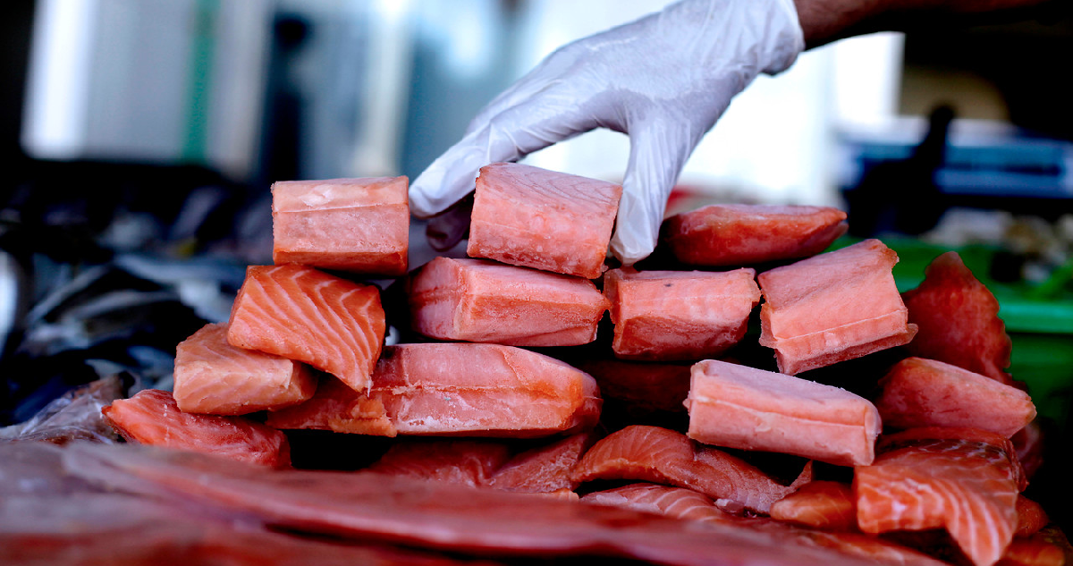 Banda robó contenedores de salmones, secuestró a guardia y lo trasladó por 500 kilómetros en un camión