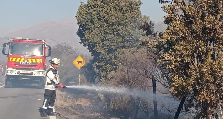 Bomberos trabaja en controlar incendio forestal en San José de Maipo