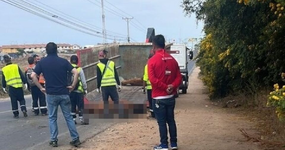 Cuatro caballos murieron tras ser impactados por vehículo en La Serena: conductor está en buen estado