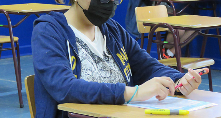 carreras de pedagogía