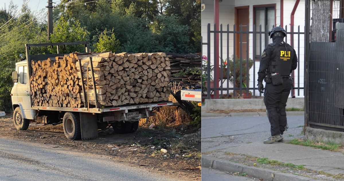 Detienen a 11 personas por robo de madera