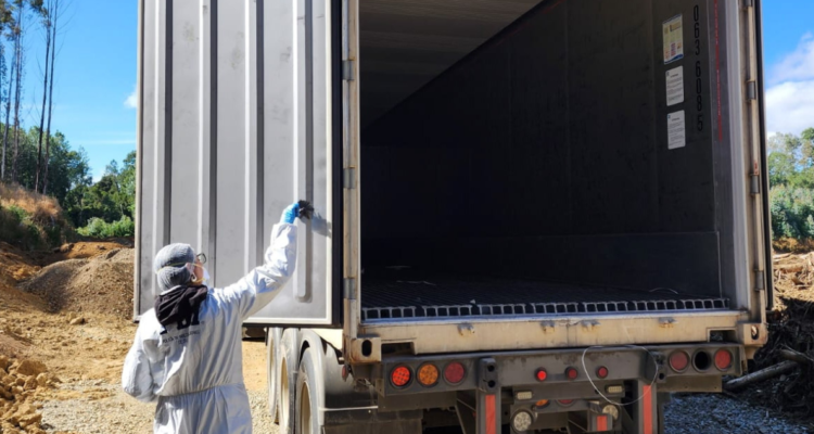 Detienen a chofer que inventó robo de camión con 20 toneladas de salmones