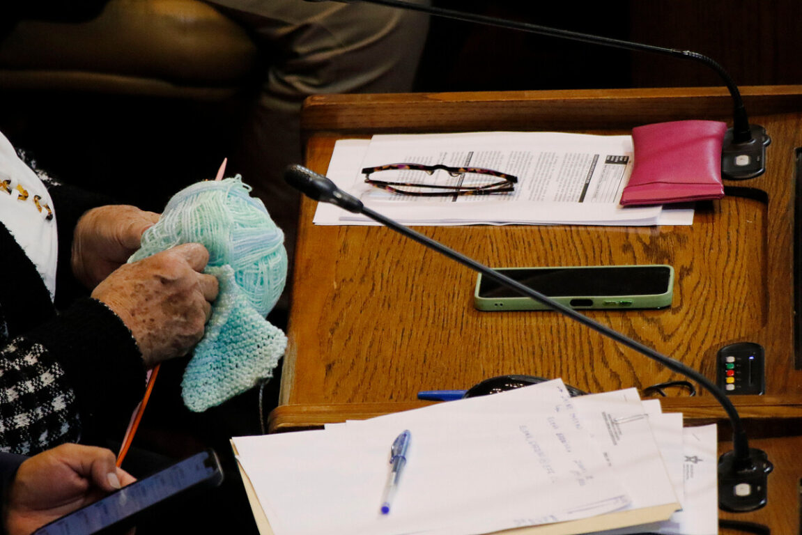 Captan a diputada Cordero tejiendo en sesión de la Cámara: "No ha sido impedimento para mi trabajo"