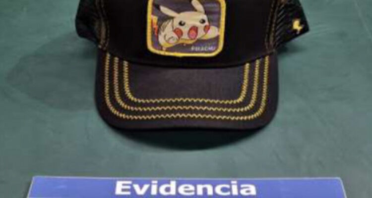 Disney, Warner y Nintendo se querellan contra comerciante de Punta Arenas