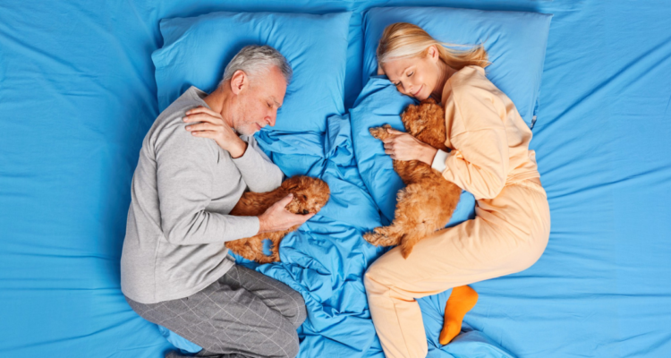 Dos personas durmiendo con perros en su cama en referencia a los riesgos de dormir con ellos