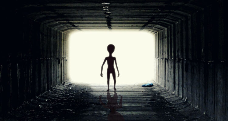 Extraterrestres no se contactan con humanos porque no son lo bastante inteligentes, según astrofísico