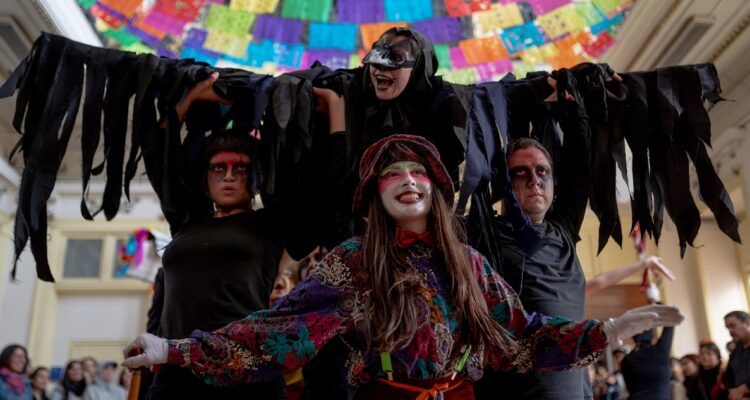 espectaculo festival academia