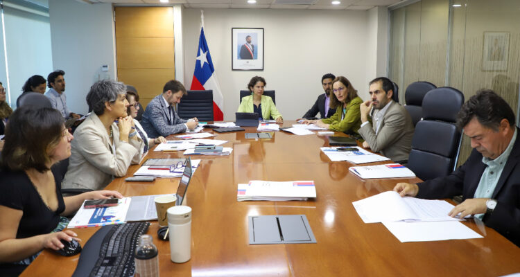 Comité de Ministros por Dominga