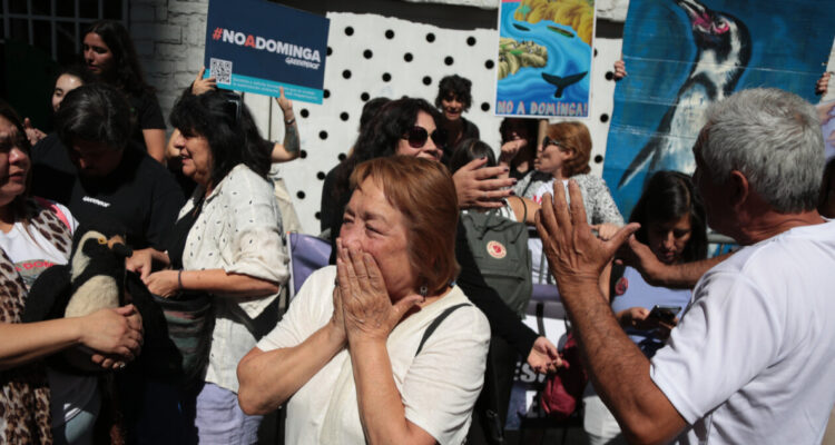 Celebraciones por rechazo a Dominga