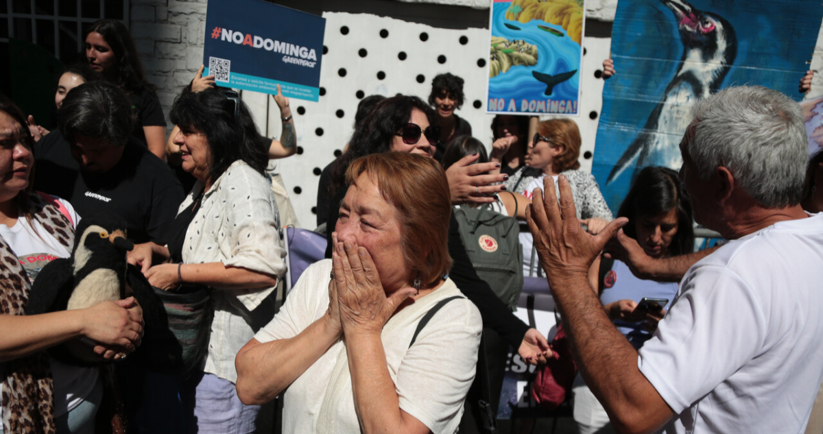 Celebraciones por rechazo a Dominga