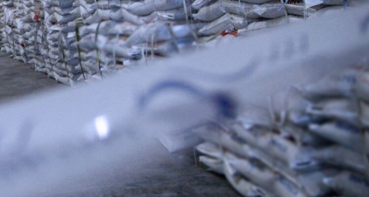 Justicia confirma multa contra Corpesca: No acreditó origen de toneladas de harina de pescado