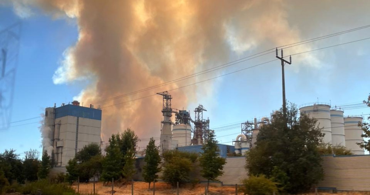 Incendio forestal