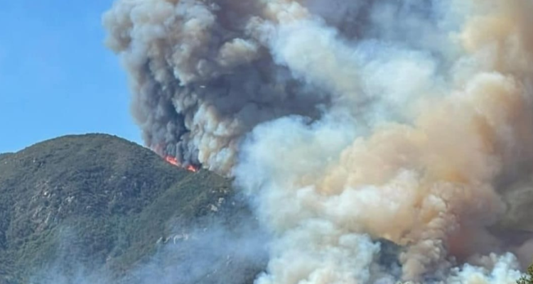 incendio forestal en Ninhue