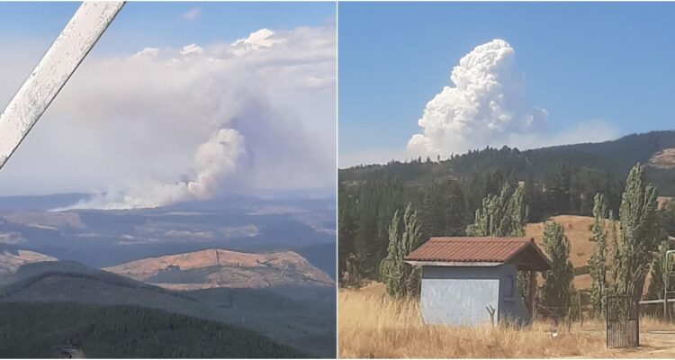 Incendio forestal en Ñuble