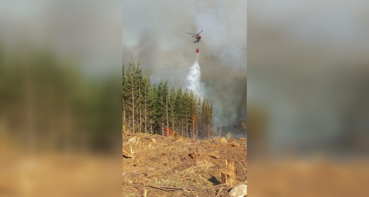 Incendios forestales en Ñuble