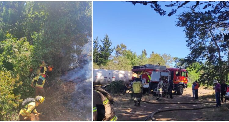 Incendio forestal en Parque Pedro del Río Zañartu